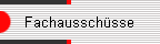 Fachausschüsse