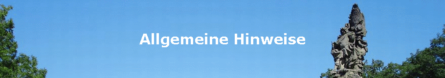 Allgemeine Hinweise