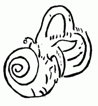 logo-ADANO-klein